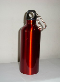 Stainless Steel Bottle