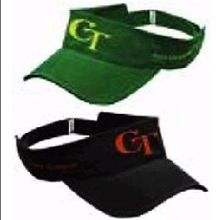 Visors